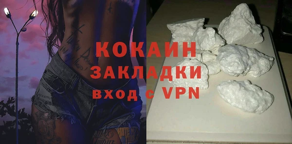 индика Белокуриха
