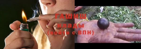 индика Белокуриха