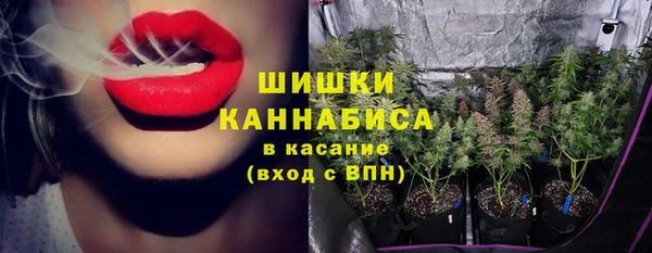индика Белокуриха